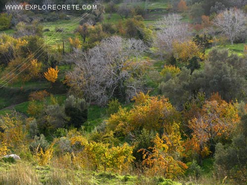 Herbst auf Kreta