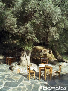 Agia Eirini in Sougia, Crete
