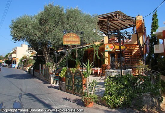 taverna and olive tree