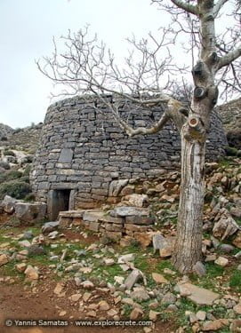 μιτάτα ψηλορείτη