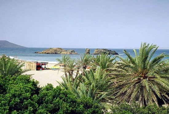 Crete Beaches: Palm beach Vai 