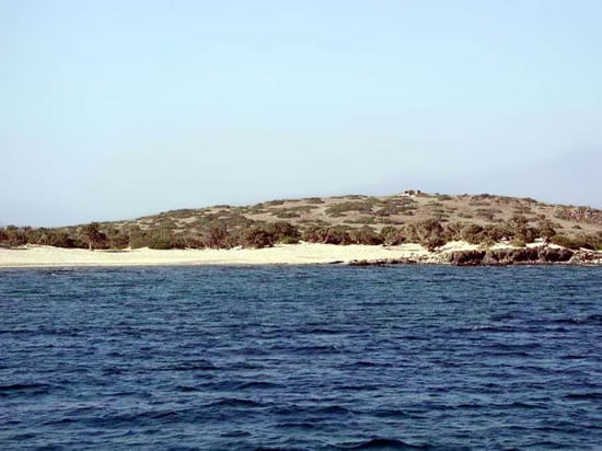Chrissi - Island