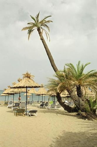 Crete Beaches: Palm beach Vai 