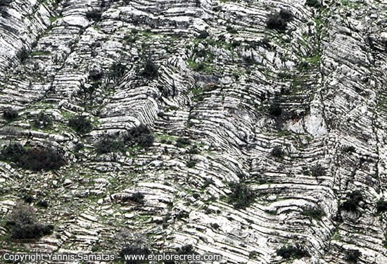 folds of geological strata on the slope