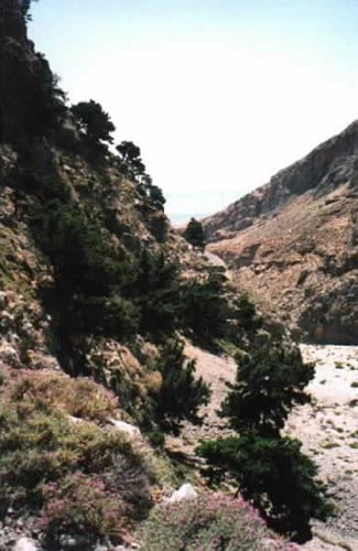 the gorge of Aradaina