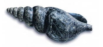 stone vessel in the shape of a triton shell
