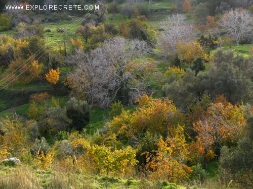 autumn in Crete