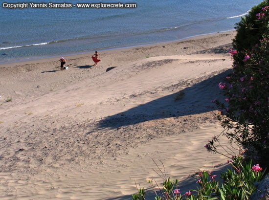Frangokastello sand dune at beach Orthi Ammos