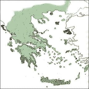 olive oil production in Greece