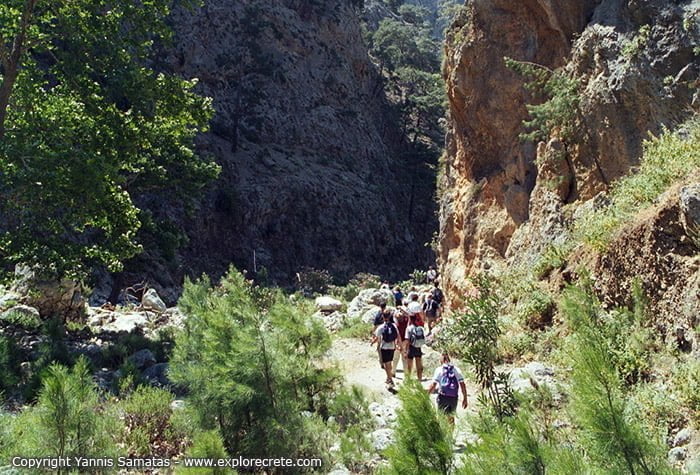 hiking in agia eirini gorge in crete