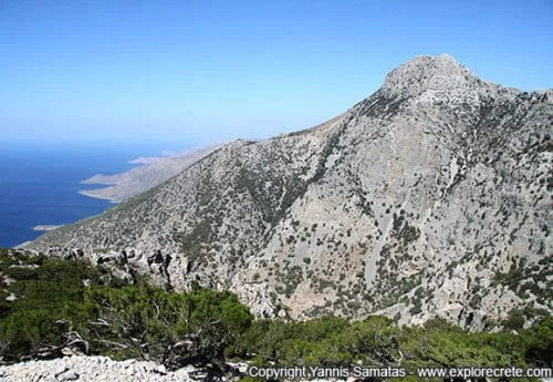 mountain kofinas