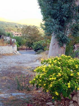 path in kritsa