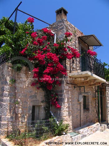 old Cretan house