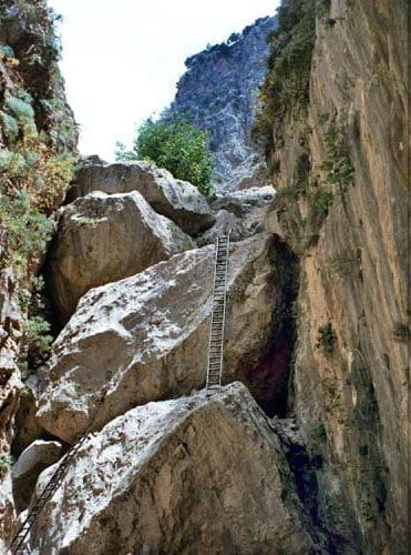 ladder inside Aradaina gorge
