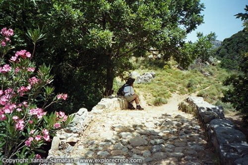 σηρικαριανο φαραγγι απο σηρικαρι για πολυρηννια
