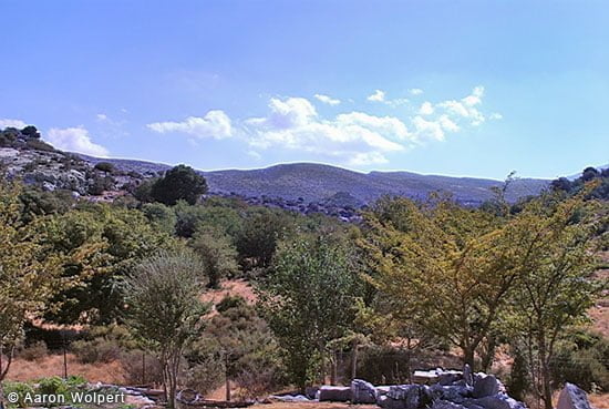 the arhcaeological site of zominthos