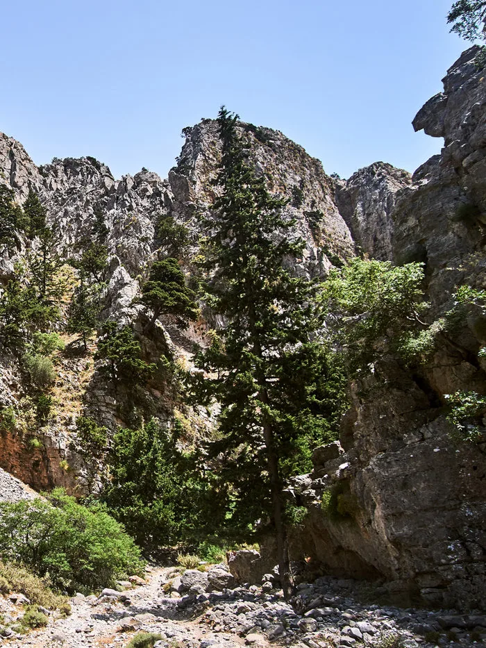 imbros gorge in the region of sfakia